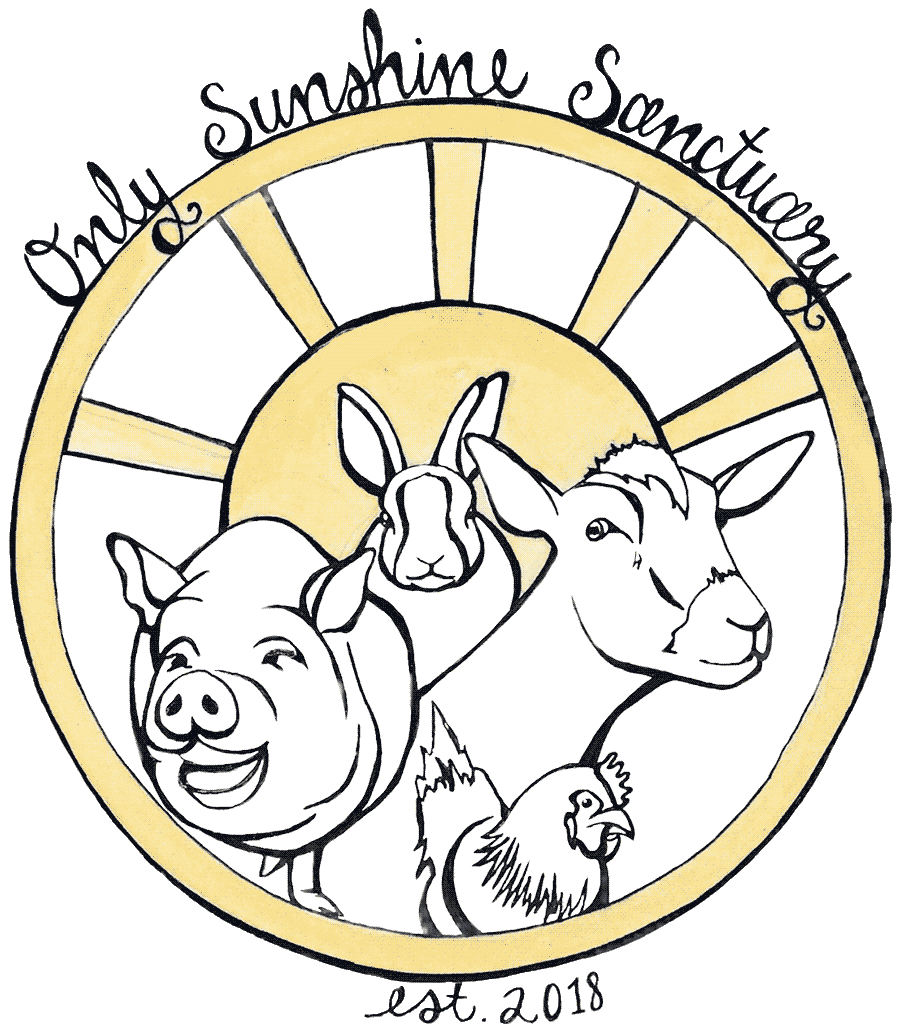 Only Sunshine Sanctuary