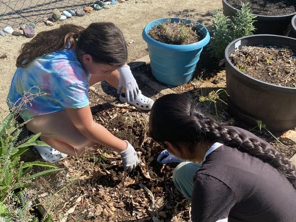 Gardening Project