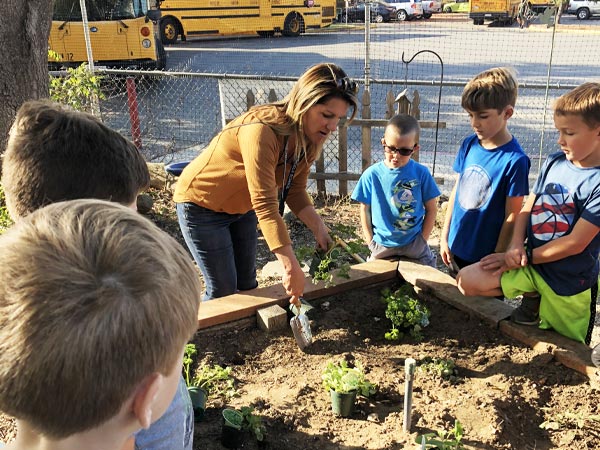 Gardening Project