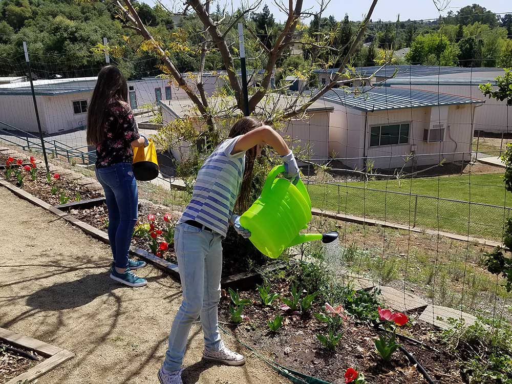 Project Green