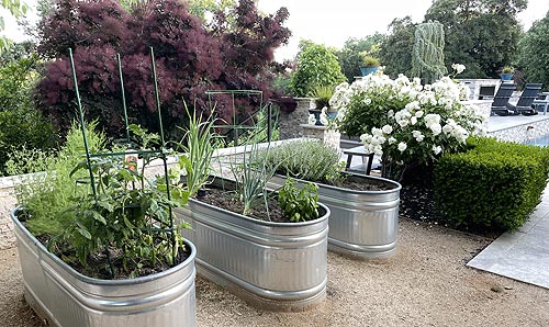 Landscape Showcase